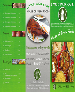 Little India Trifold Brochure